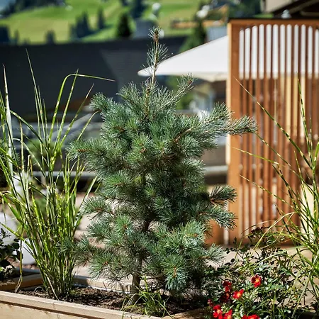 Otel Brugger's Geniesserhotel Lanersbacherhof 4*